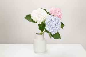 flowers-vase-decor-interior-870512