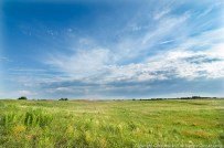 Sand prairie at The Nature Conservancy's Platte River Prairies, Nebraska.