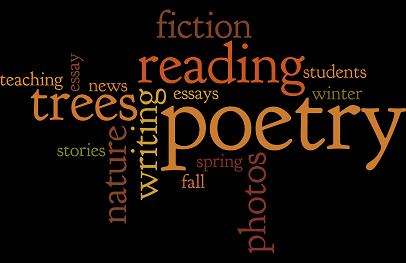 blog word cloud.png small